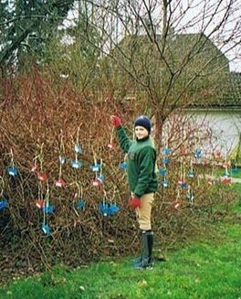 Ostern 2008
