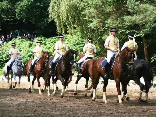 Quadrille_2008_2.jpg