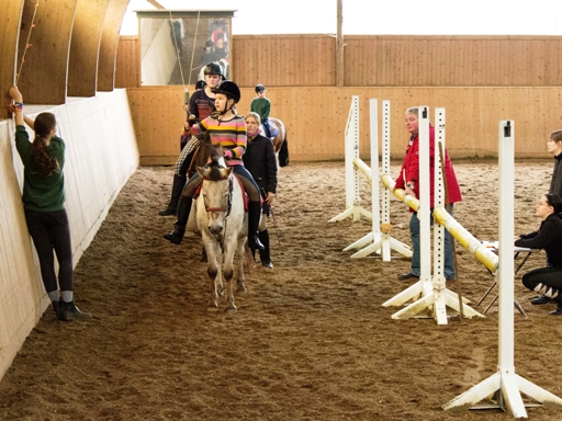 images/Ringreiten_01.jpg