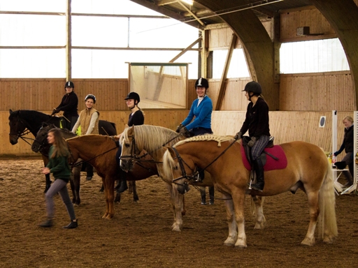 images/Ringreiten_03.jpg