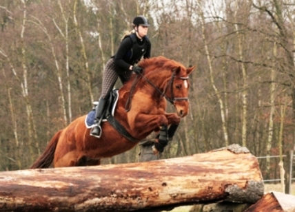 Sarah_Miske_2.jpg