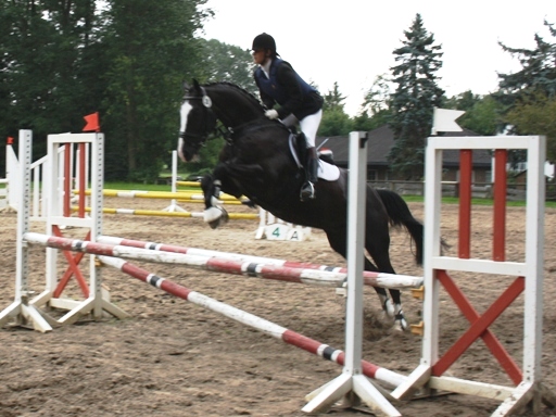 images/VM_2010_3.jpg