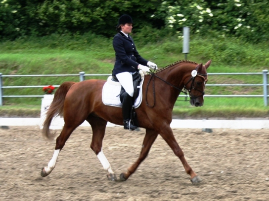 2010_KM_2.JPG