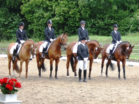 2010_KM_4.JPG